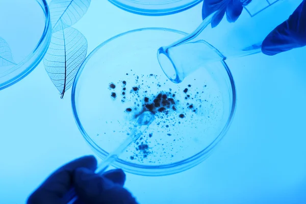 Pratos de Petri em laboratório — Fotografia de Stock