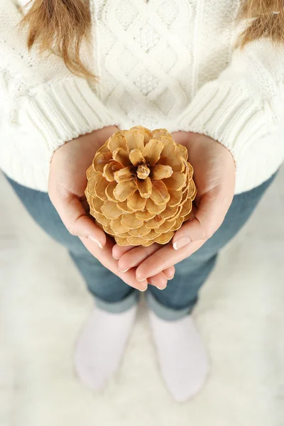 Pine cone in woman hands — Stock Photo, Image
