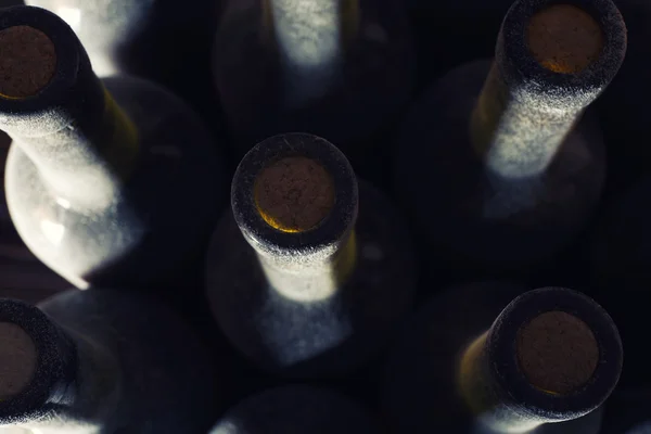 Bottiglie di vino polveroso — Foto Stock