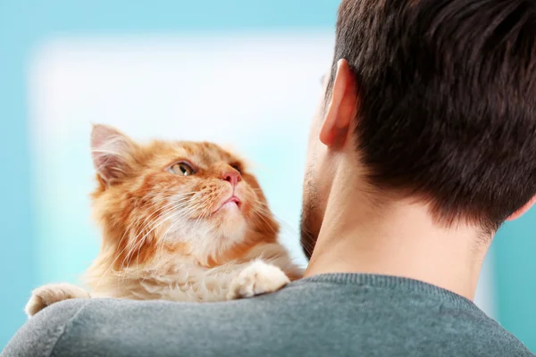 Gato vermelho sentado no ombro de um homem — Fotografia de Stock