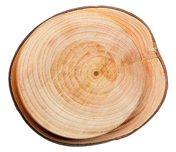 Tranche ronde en bois — Photo