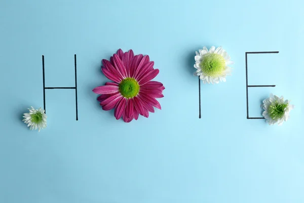 Inschrift Hope mit rosa und weißen Blumen — Stockfoto