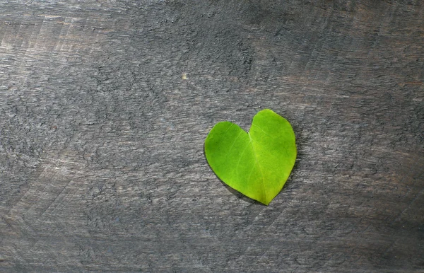 Leaf on wooden background — Stock Photo, Image