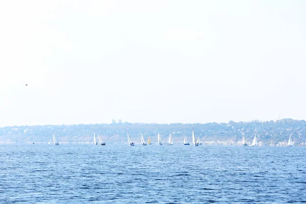 Jachten zeilregatta — Stockfoto