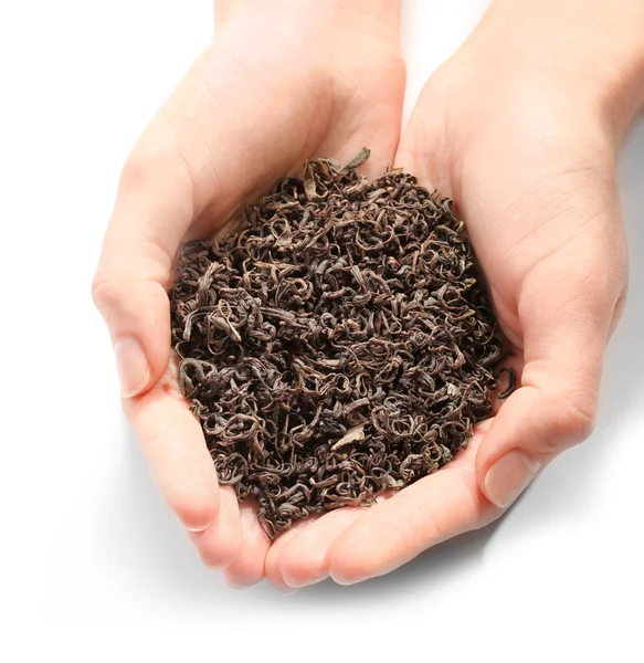 Hands holding pile of dry tea — Stock Photo, Image