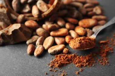 Aromatik kakao çekirdekleri ve gri arka plan üzerine çikolata ile kase, yakın çekim