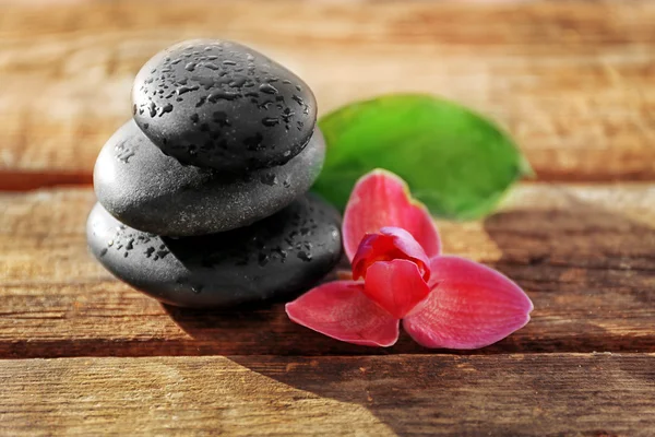 Spa stones with purple orchid — Stock Photo, Image