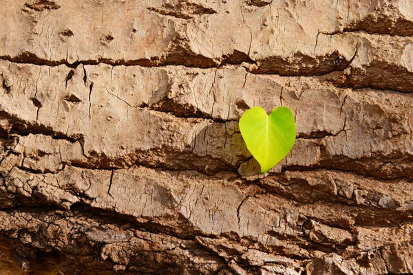 Geel blad op houten ondergrond — Stockfoto