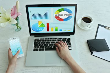 dizüstü bilgisayar, ekranda şemalı