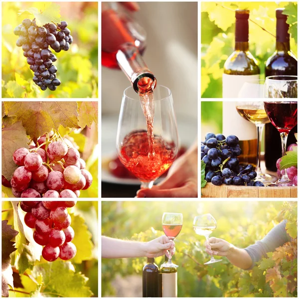 Collage with beautiful wine images, outdoors. — Stock Photo, Image