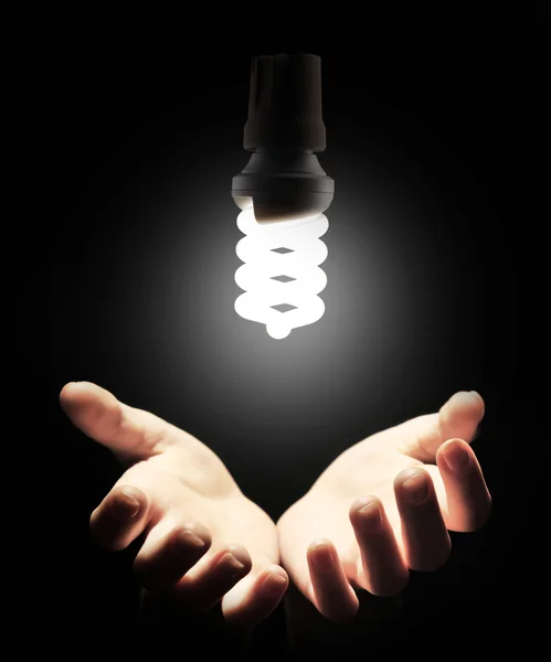 Mãos com lâmpada economizadora de energia — Fotografia de Stock