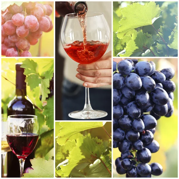 Collage met mooie wijn beelden, buitenshuis. — Stockfoto