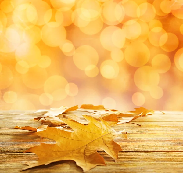 Liście żółtej jesieni — Zdjęcie stockowe
