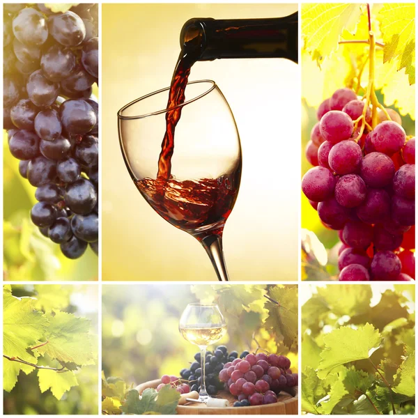 Güzel şarap görüntülerle, açık havada kolaj. — Stok fotoğraf