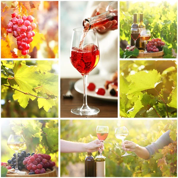 Collage con hermosas imágenes de vino, al aire libre . —  Fotos de Stock