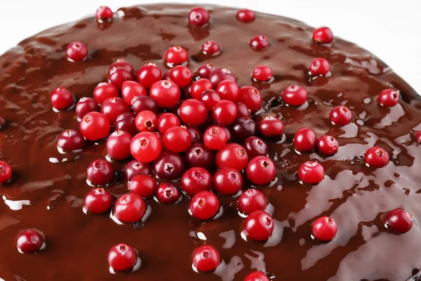 Шоколадный торт с клюквой, крупным планом — стоковое фото