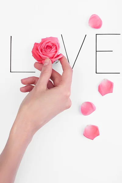 Inscription love with pink rose and hand — Stock Photo, Image