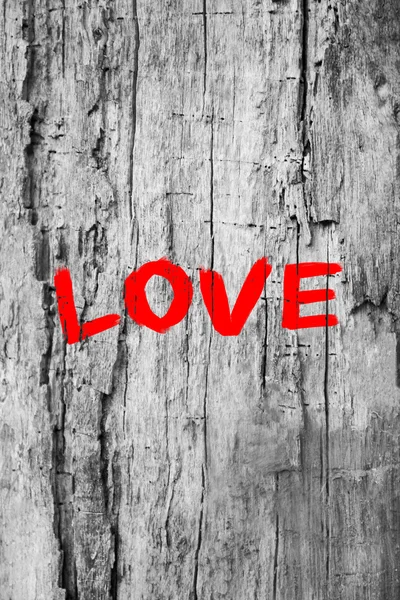 Mot "Amour" peint sur fond de mur — Photo