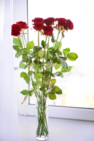 Frische rote Rosen — Stockfoto