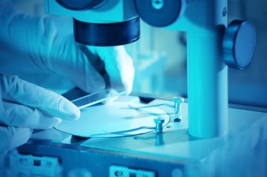 Mikroskopla çalışan bilim adamı 