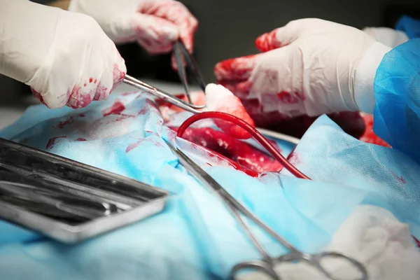 Doctor doing heart operation — Stock Photo, Image