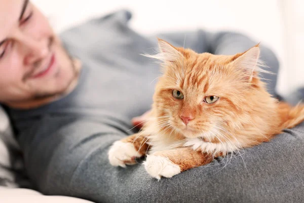 Kırmızı kedi ile uyuyan genç adam