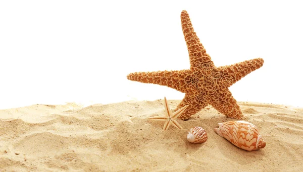 Starfish e conchas na areia — Fotografia de Stock