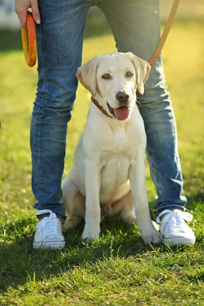 Eigenaar en Labrador hond — Stockfoto