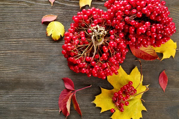 Bouquet de viorne et de feuilles colorées — Photo