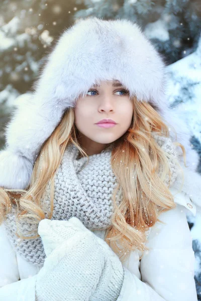 Winter portrait of young blond woman Stock Image