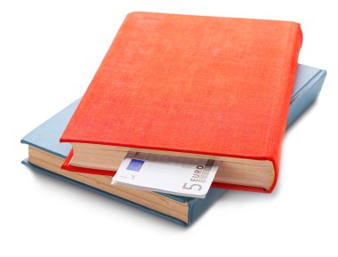 İç içe geçmiş euro banknot ile kitapları 