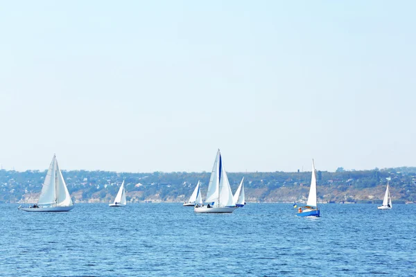 Regata de iates à vela — Fotografia de Stock