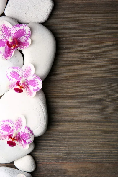 Курортные камни и орхидея — стоковое фото