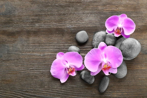 Pietre și orhidee spa — Fotografie, imagine de stoc