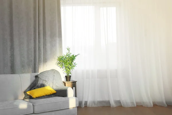 Grå soffa och litet bord med grön växt på gardinen bakgrund — Stockfoto