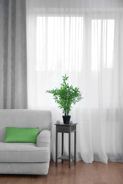 Сірий диван і маленький стіл з зеленою рослиною на фоні штор — стокове фото