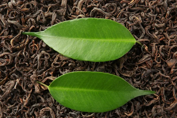 Té y hojas verdes, fondo —  Fotos de Stock