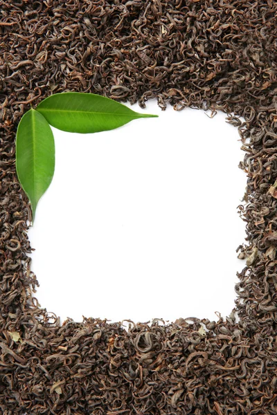 Frame of dry tea with green leaves — Stock Photo, Image