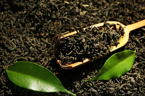 Купа сухого чаю з дерев'яною ложкою і зеленим листям, крупним планом — стокове фото