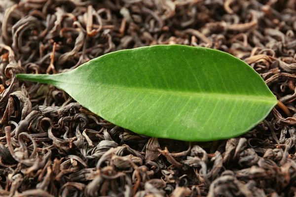 Сухой чай с зеленым листом, фон — стоковое фото