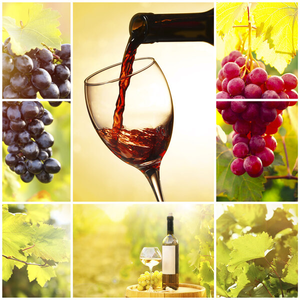 Collage with wine images