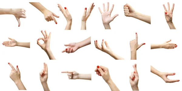 Ensemble de gestes de mains féminines, isolés sur blanc — Photo