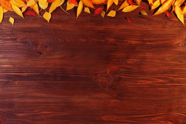 sonbahar yaprakları arka plan