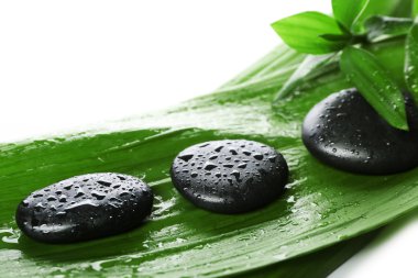 Bambu taşlarla sıcak spa