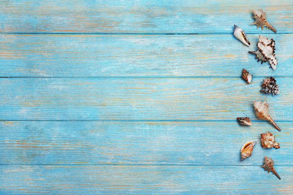 Ракушки на деревянном столе — стоковое фото