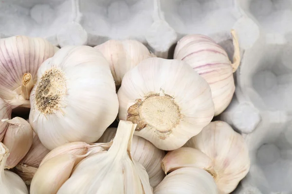 White garlic background — Stock Photo, Image