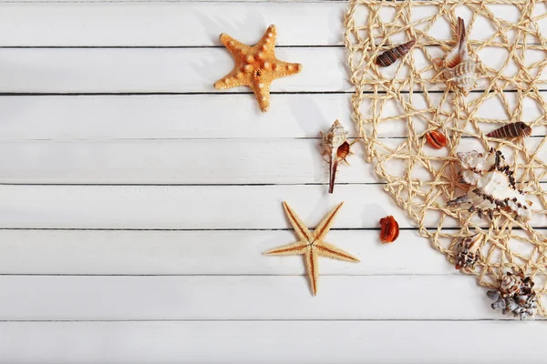 Seashells and fishing net — Stock Photo, Image