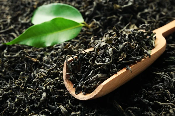 Pile of dry tea with wooden spoon and green leaves, close up — Stock Photo, Image