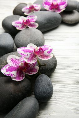 Spa taşlar ve orkide 