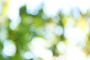 sonbahar arka plan bulanık